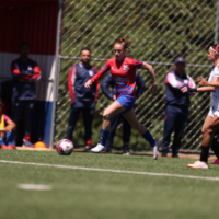feminino
